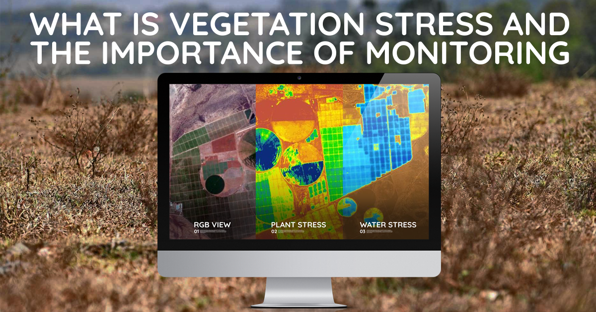 In-Field Stress Forestry Monitoring In-Field Stress Forestry Monitoring