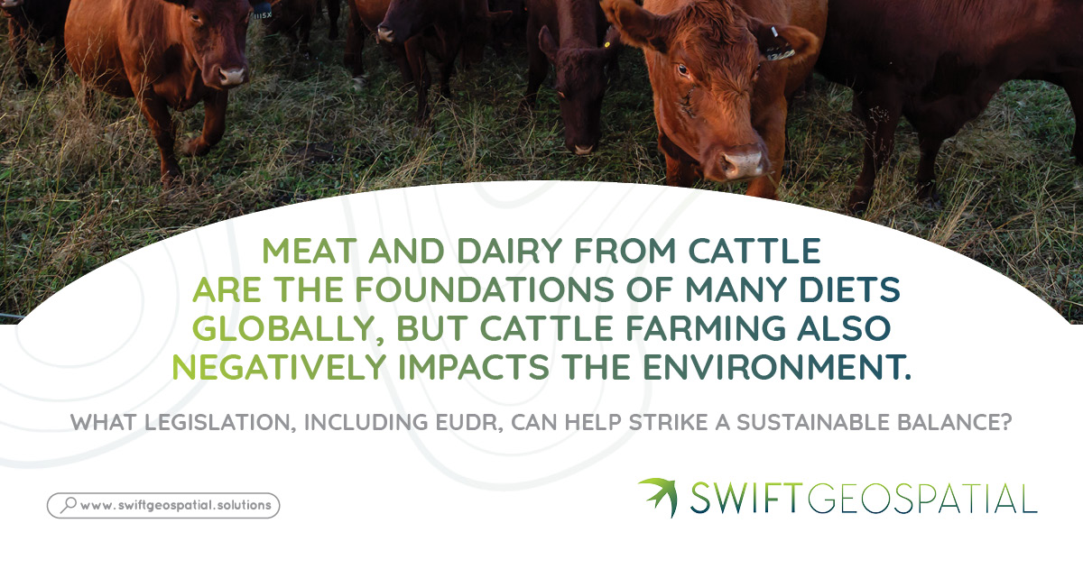 Soy protein contains all nine essential amino acids and important nutrients. Its high protein content, alongside other benefits, makes soy an attractive food source for both human consumption and livestock feed. But soy is also an intensively grown crop heavily reliant on land use, fertiliser, and pesticides. How can EUDR and other legislation help prevent unsustainable cultivation? Soy protein contains all nine essential amino acids and important nutrients. Its high protein content, alongside other benefits, makes soy an attractive food source for both human consumption and livestock feed. But soy is also an intensively grown crop heavily reliant on land use, fertiliser, and pesticides. How can EUDR and other legislation help prevent unsustainable cultivation?