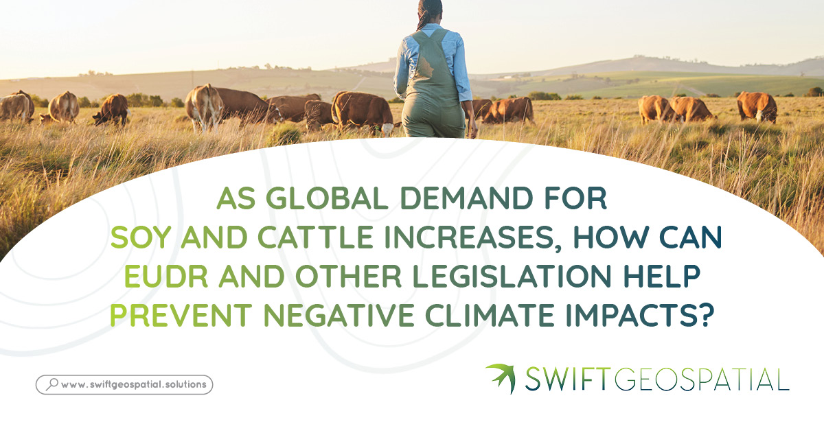 In a world where deforestation management and climate conservation are becoming increasingly pressing, soybean production and cattle farming are being spotlighted. Regulations like the European Union Deforestation Regulation (EUDR) and others are helping combat unsustainable soybean and cattle farming practices, but how are they faring as demand for these commodities rises globally? In a world where deforestation management and climate conservation are becoming increasingly pressing, soybean production and cattle farming are being spotlighted. Regulations like the European Union Deforestation Regulation (EUDR) and others are helping combat unsustainable soybean and cattle farming practices, but how are they faring as demand for these commodities rises globally?