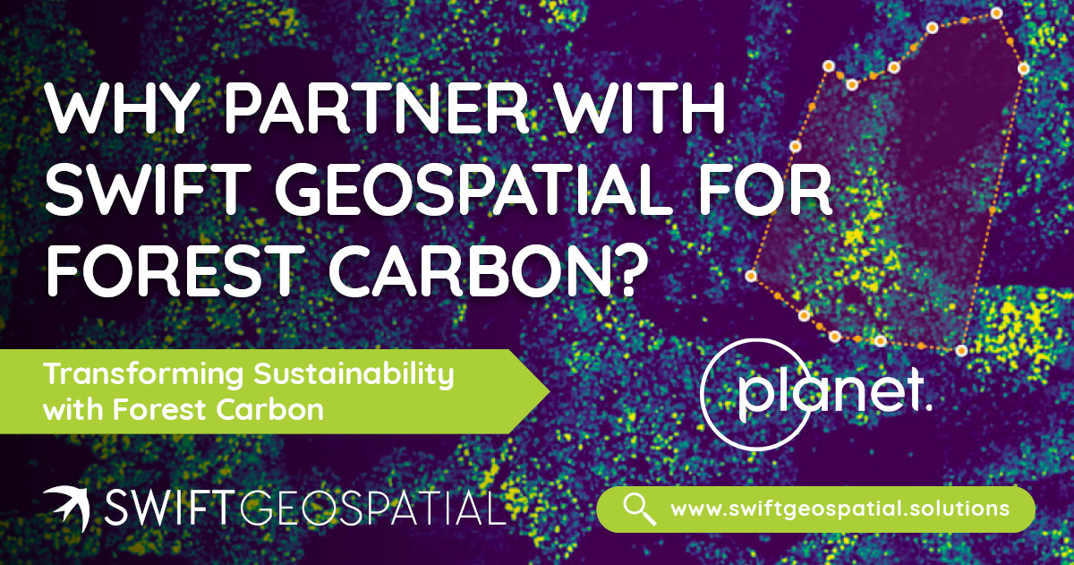 SwiftGeospatial Post Why Partner with Swift Geospatial for Forest Carbon 2