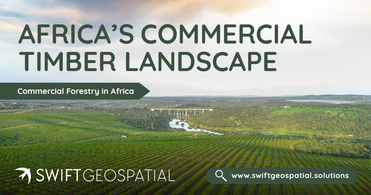 SwiftGeospatial Post Africa's Commercial Timber Landscape 2