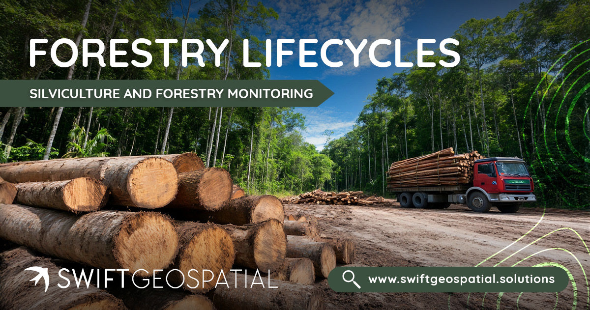 SwiftGeospatial Post Forestry lifecycles 2
