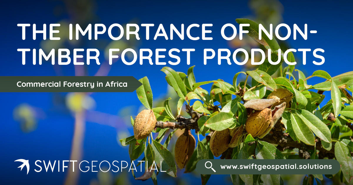 SwiftGeospatial Post of Non-Timber Forest Products 2