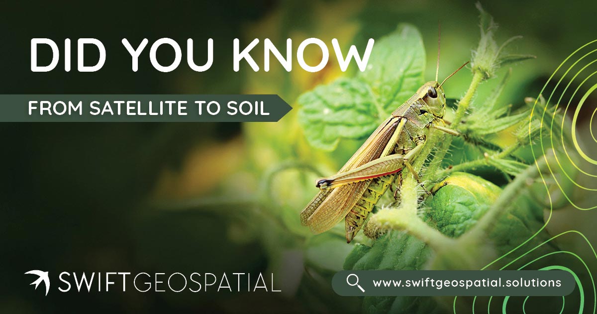 Swift-Post-Satellite-to-Soil-2.9