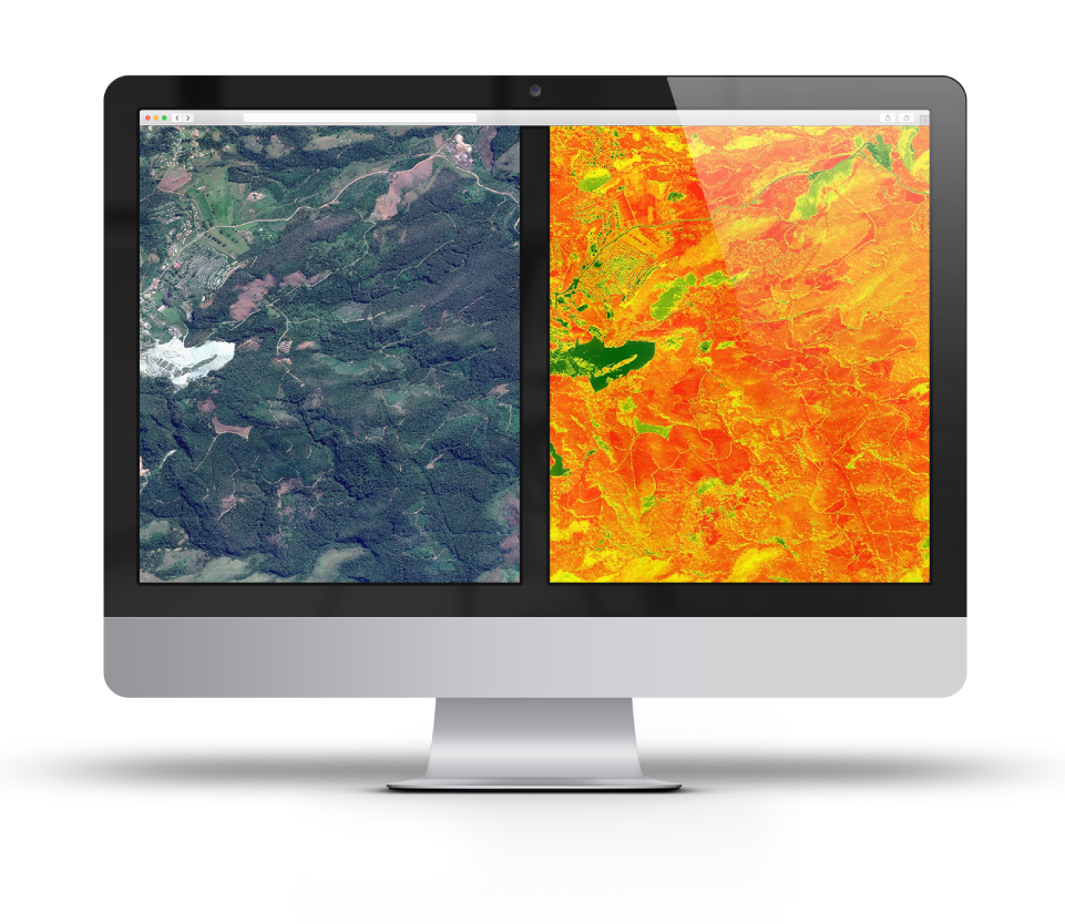 Nat-Forest-Imagery-Mockup